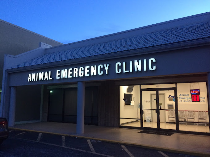 Boca Raton Animal Hospital