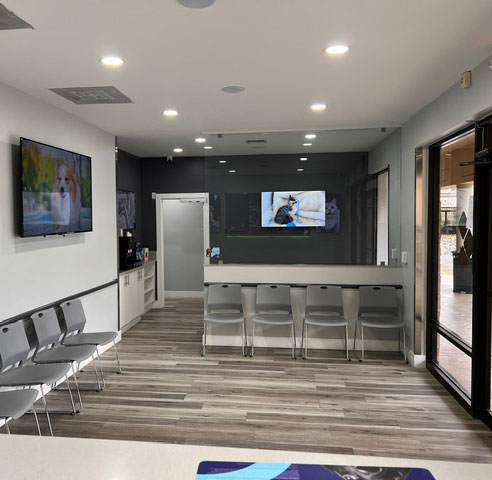 Boca Raton pet hospital