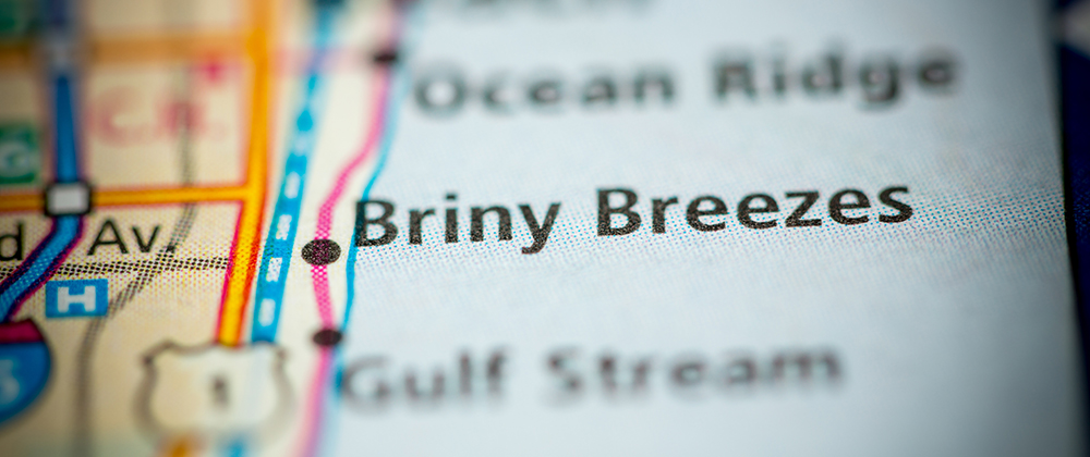 Briny-Breezes-emergency-vet Briny Breezes emergency vet