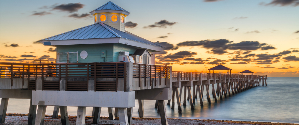 Juno-Beach-emergency-vet Juno Beach emergency vet